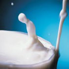 Manfaat Susu Kambing Etawa dan Susu Sapi Murni bagi Kesehatan