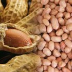 Manfaat khasiat Kacang Tanah untuk Kesehatan