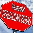 Pengertian Pergaulan Bebas Menurut Para Ahli