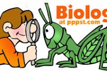 Pengertian Biologi Menurut Para Ahli