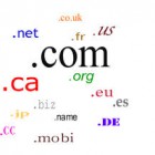 Pengertian Domain dan Hosting