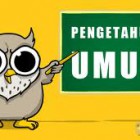 Pengertian Pengetahuan Menurut Para Ahli