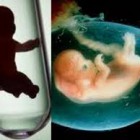 Pengertian Program Bayi Tabung Menurut Para Ahli adalah
