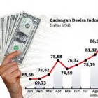 Pengertian Devisa Menurut Para Ahli Adalah