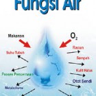 Pengertian dan Fungsi Air