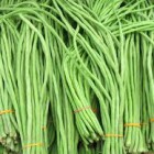 Manfaat Kacang Panjang bagi Kesehatan